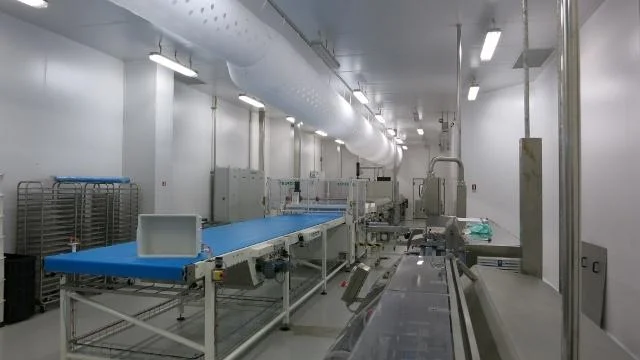 Manutenção de dutos