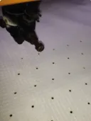 Imagem página Formas de difusão do ar Imagem página Formas de difusão do ar